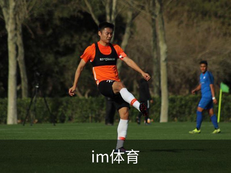 IM体育官网｜赛事资讯·赛程·实时数据平台